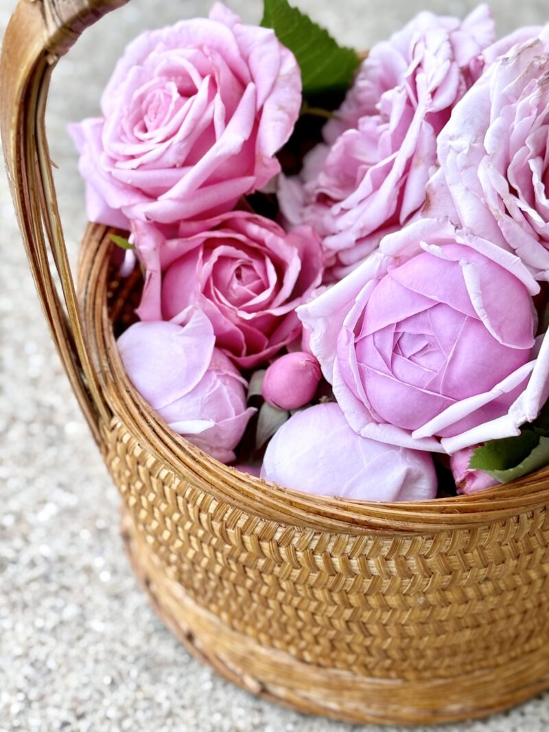 Gather Roses How to find your voice again, life after death