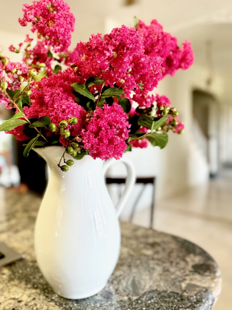 Crape Myrtles in full bloom