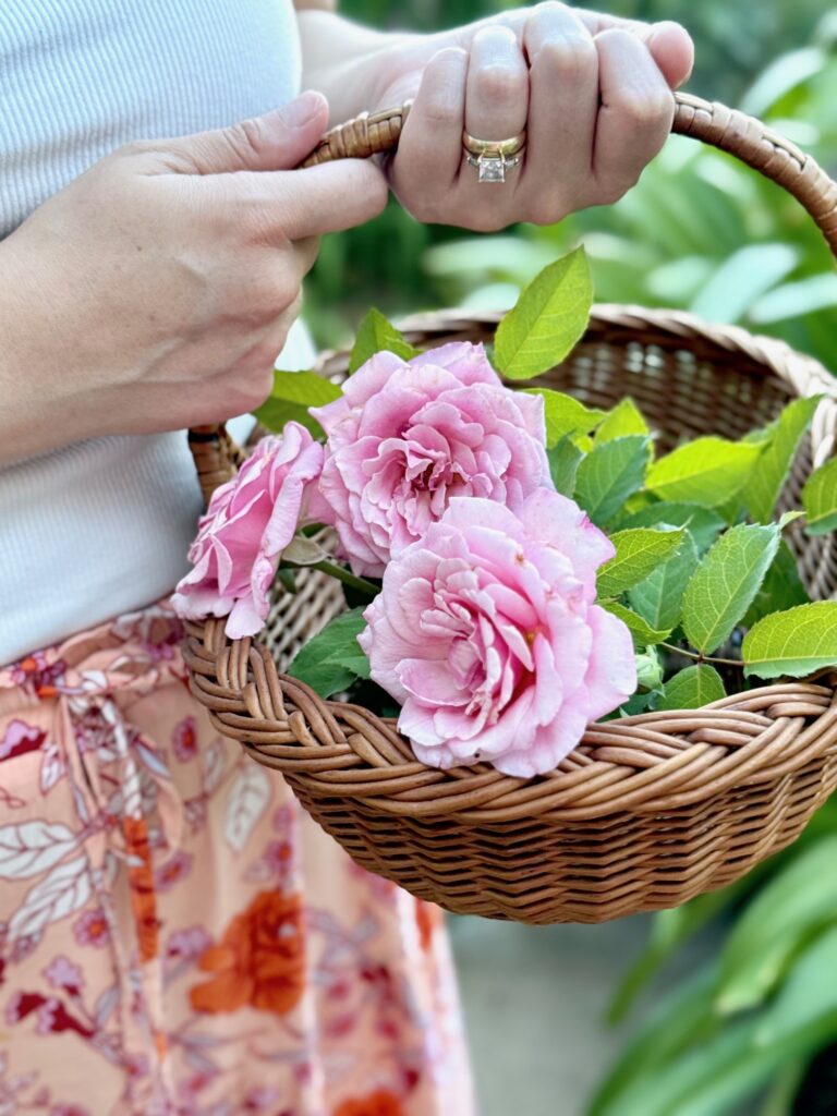 a beautiful soft brown wicker basket filled with Belinda roses gently held in the hands of a young woman