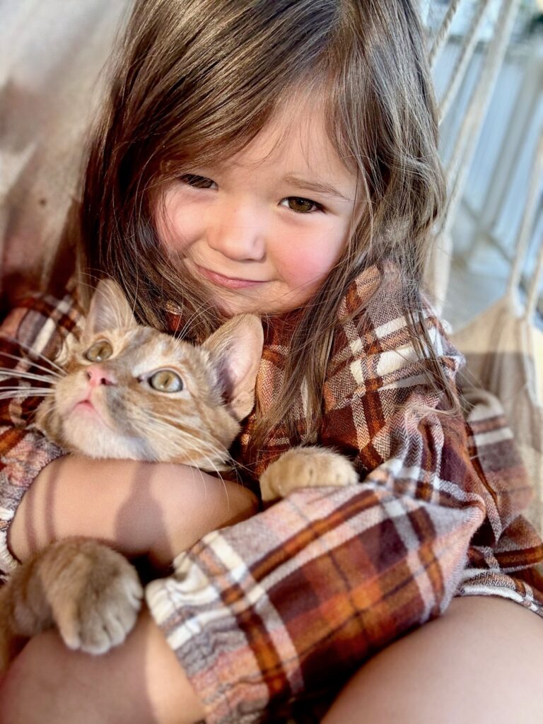 A lovely little girl holding a kitten