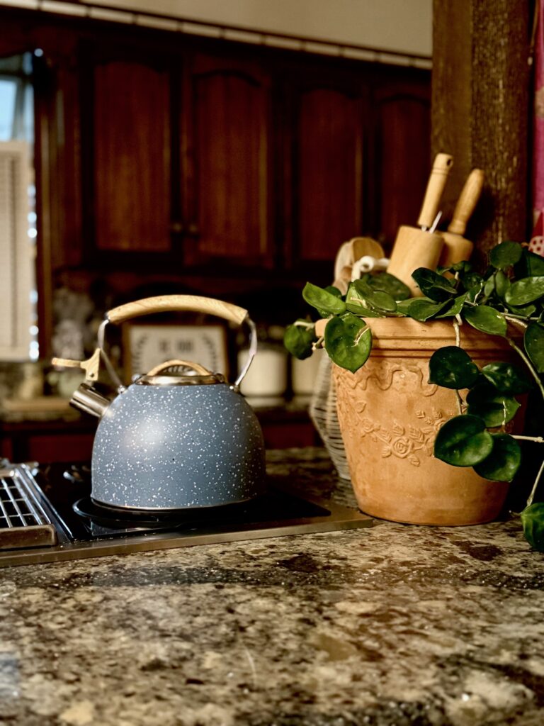 A large terra cotta pot with a beautiful and deep green Princess plant and a speckled blue tea kettle pot